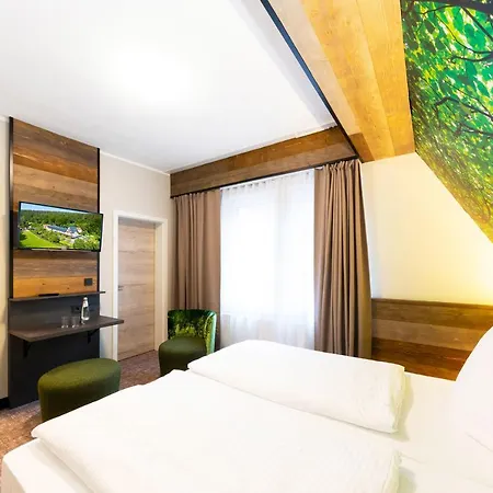 Hotel Waldmuehle 3*