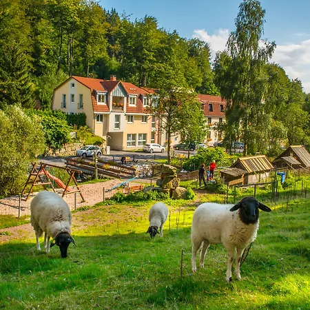 Hotel Waldmühle Zella-Mehlis