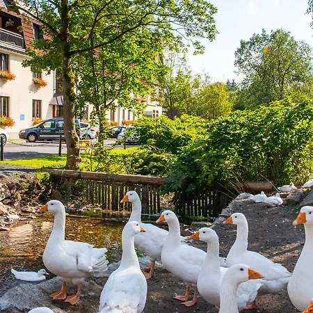 Hotel Waldmuehle Zella-Mehlis