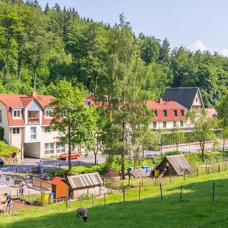 Waldmuehle 3*