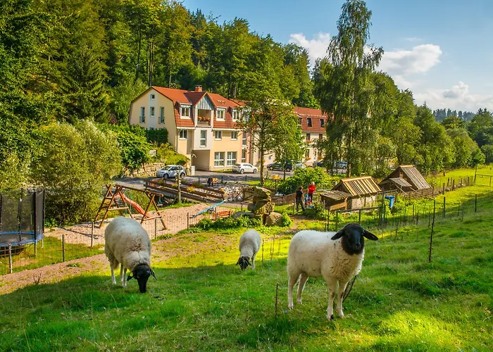 Hotel Waldmühle Zella-Mehlis