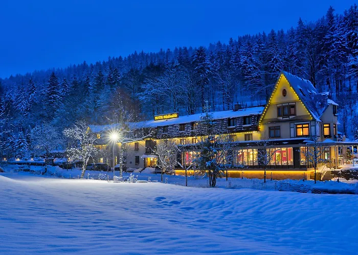 Waldmühle Zella-Mehlis